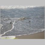 20060826_26Ventura_011 copia.jpg